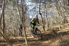 Lgf_2019_013