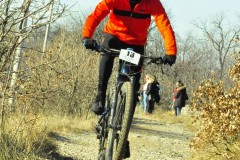 LGF_2022_080