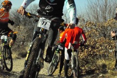 LGF_2022_110