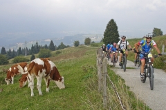raduno_mtb_cai_2018_008