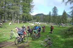 raduno_mtb_cai_2018_049