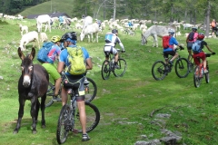 raduno_mtb_cai_2018_050